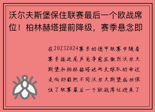 沃尔夫斯堡保住联赛最后一个欧战席位！柏林赫塔提前降级，赛季悬念即将揭晓